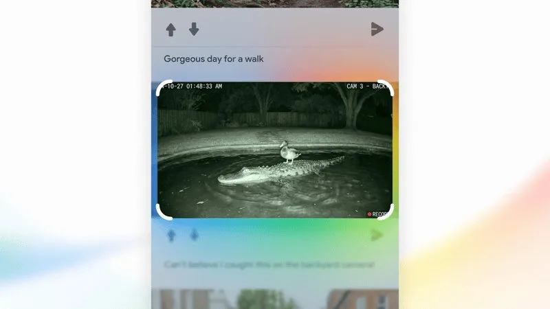 帖子配图 1